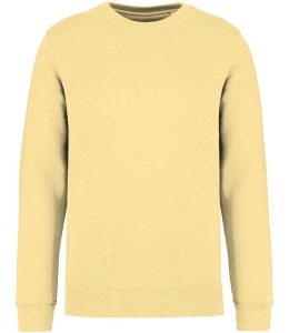 Native Spirit Unisex Crew Neck Sweatshirt