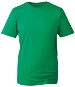 Anthem Organic T-Shirt